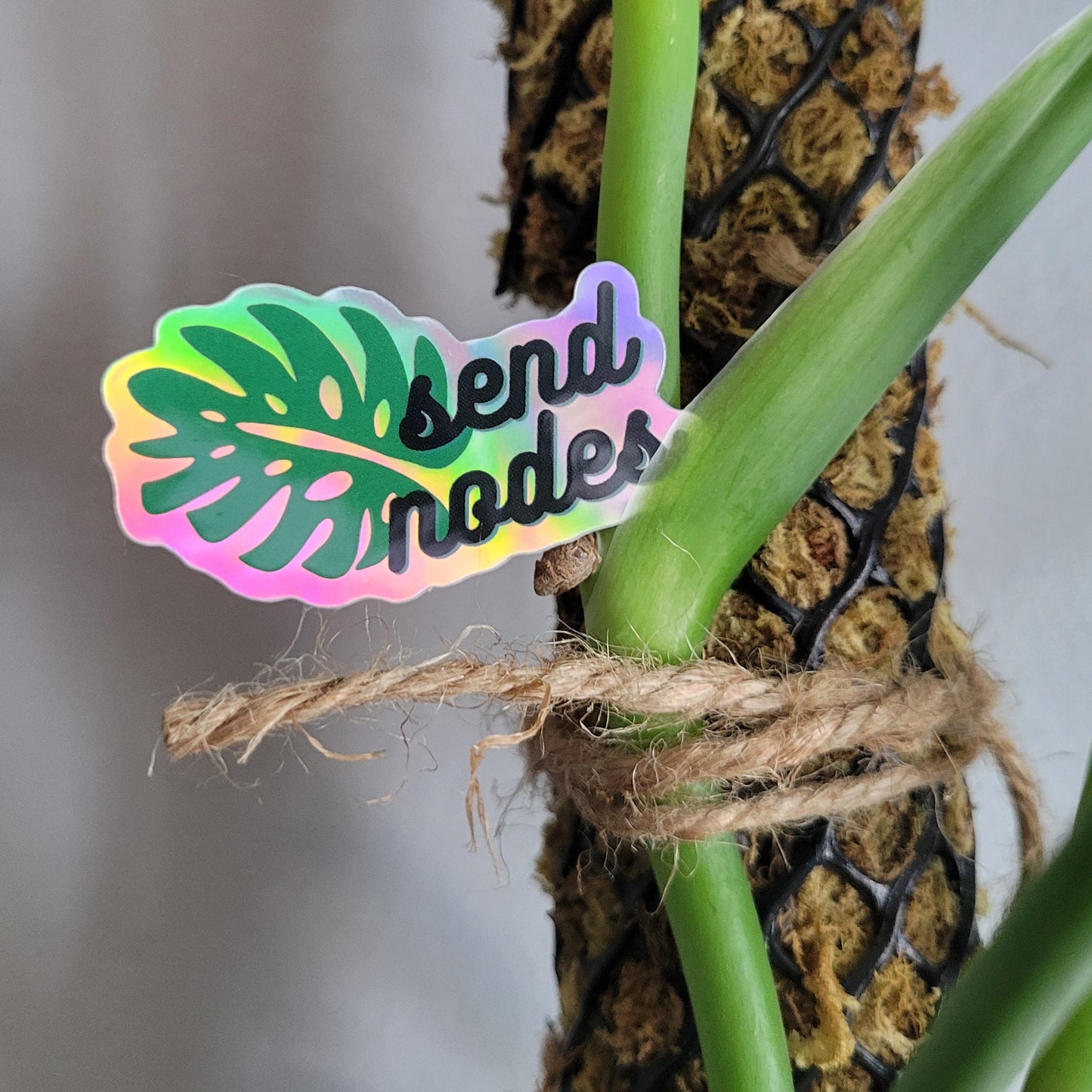 Send Nodes Holographic Sticker